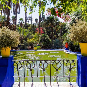 What to See at Jardin Majorelle: Blue Villa, Berber Museum, Cacti, and Ponds